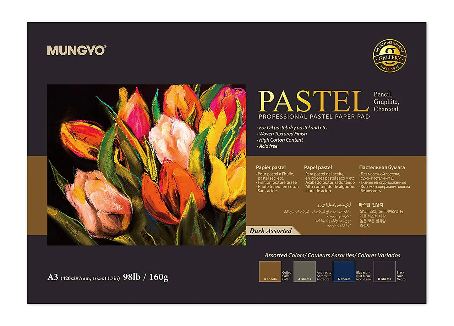 Mungyo Professional Pastel Paper Pad Dark Assorted