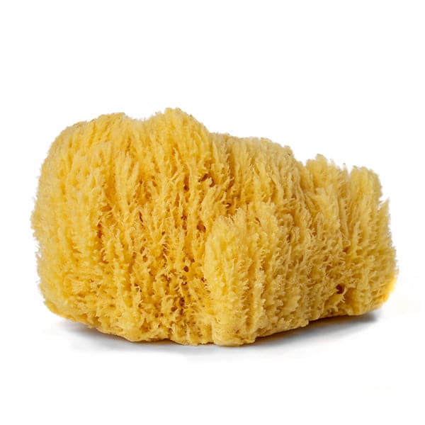 Daler Rowney Artist’S Natural Sponge