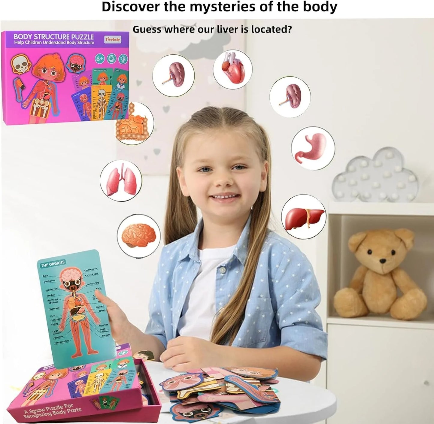 Human Body Anatomy Structure Puzzle