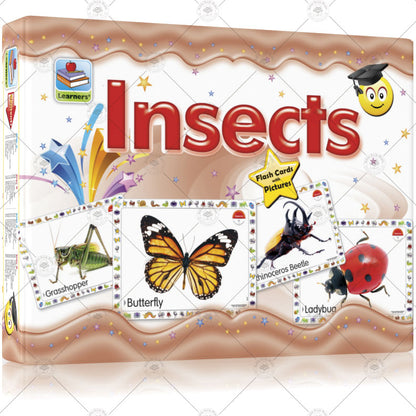 Large Flash Cards Insects