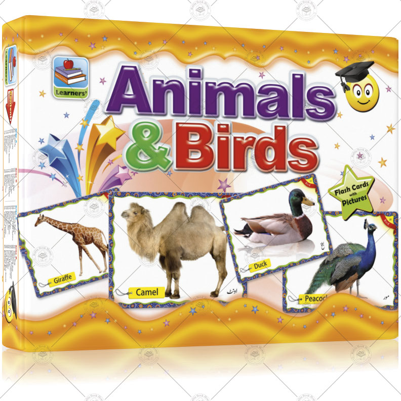 Large Flash Cards Birds & Animals