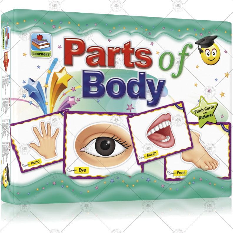 Large Flash Cards Parts of Body