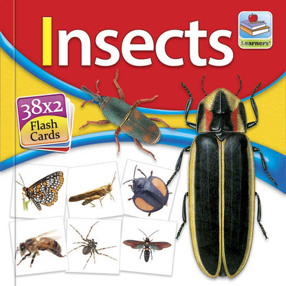 Small Flash Card Insects