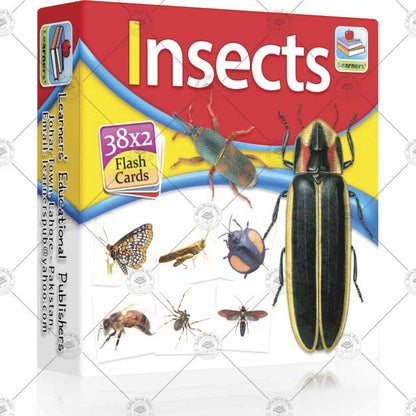 Small Flash Card Insects