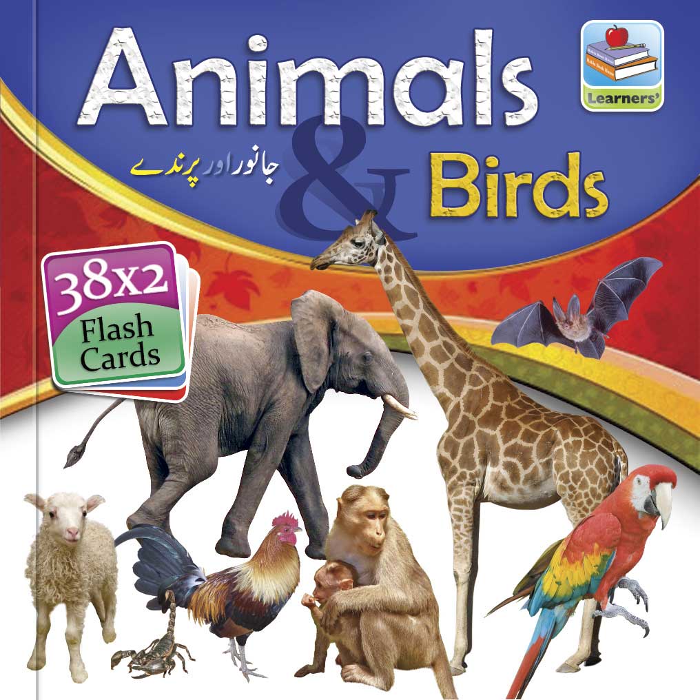 Small Flash Card Birds & Animals