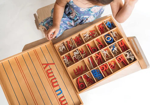 Wooden Montessori Movable Alphabet Letters